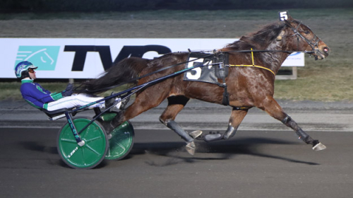 Tangerade årsbästa