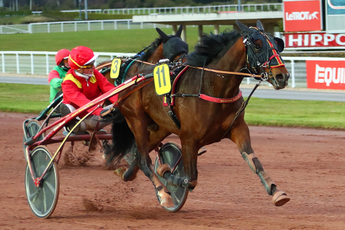 Auktionsdyring slog till