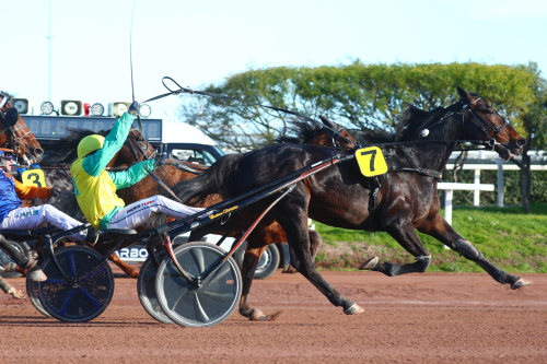 Lottat till Lotteria
