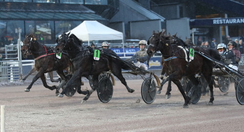 Alla hästar i Åby Stora