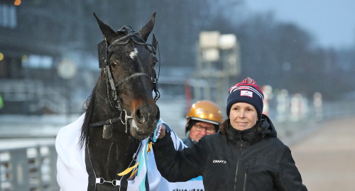 Inför V75: Toppmöte i Kalmar