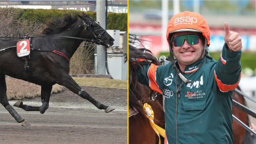 Lindgren kan rädda svenska äran