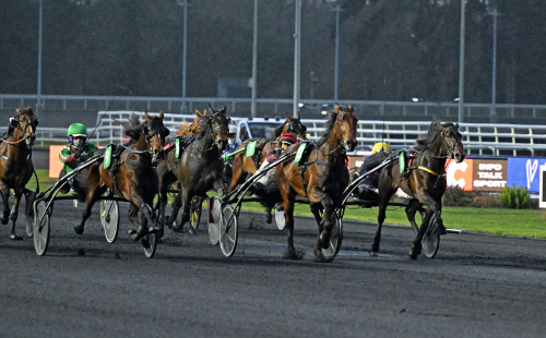 Succé för Lejon i Paris
