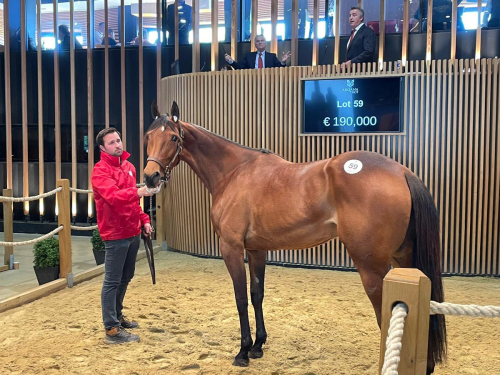 Sto kostade 190.000 euro