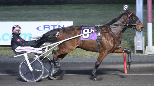 Irländare rekordsänkte igen!