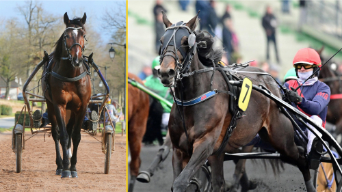 Elitloppskandidater i Oslo