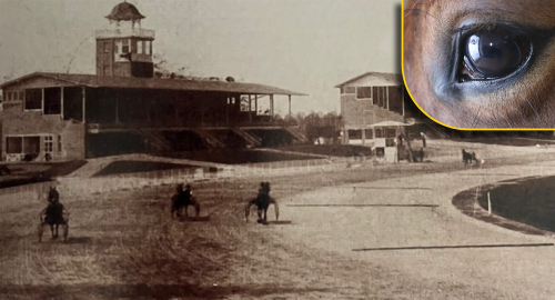 Bomber fällde Europas bästa travare