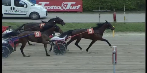 Gocciadoro-treåring imponerade