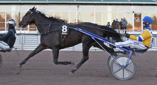 Lekstuga för Mellby Jinx