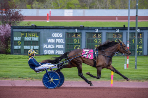 Courant-treåring obesegrad