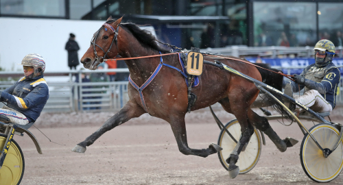 Varvar upp inför Derbyt