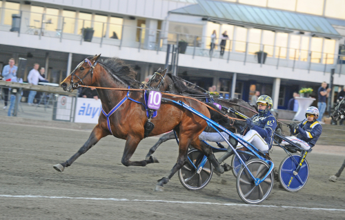 Lugauer är rock n’roll