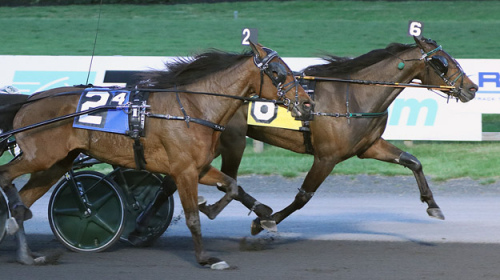 Finalsegrar för svenskduo