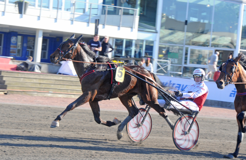 Hagoorts jakt på repris