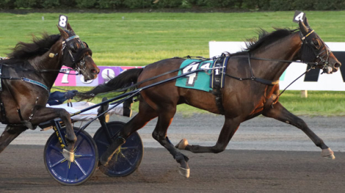 Hambofavorit i kvalvinst