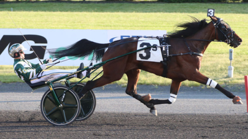 Svenskdubbel på The Big M