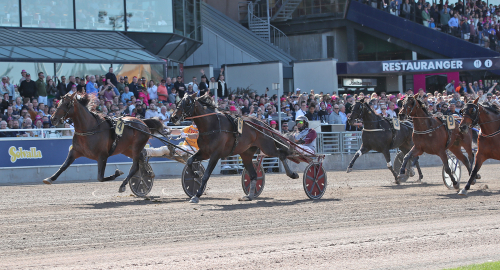 Gocciadoro: ”Besegrat bättre hästar”