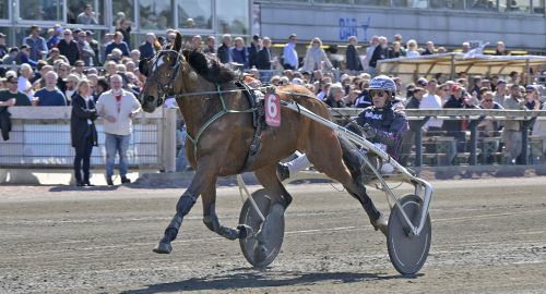 Inför V86: Jagar åttonde raka