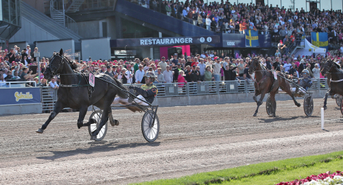 Lysande insats av Castor the Star