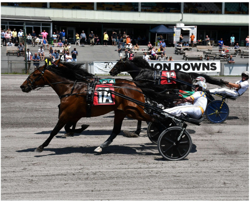 Svanstedt dominerade