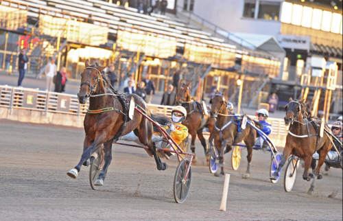 En häst för Elitloppet