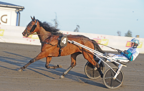 V75-tips: Räds inte åtta