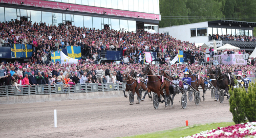 Publik upp – spelet ned!