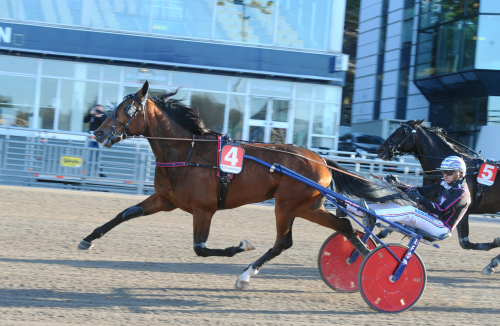 E3: Epsom programenligt