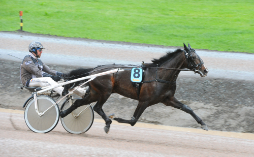 Delicious U.S-son övertygade