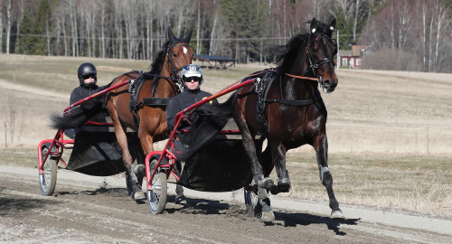 Premiär för STL Sommartrav