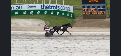 Just Believe i Elitloppsgenrep
