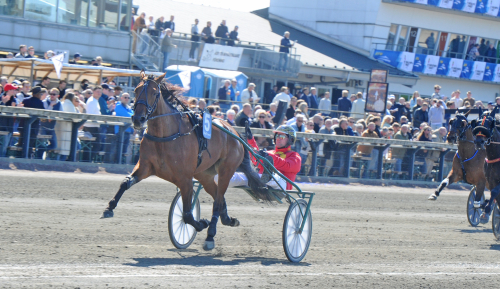 Imhatra Am i mammas hovspår