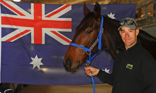 Lottat till Elitloppet