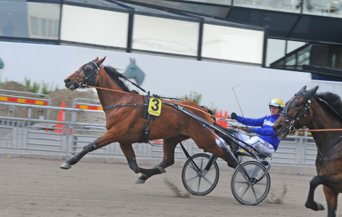 V75-tips: Fortsatt förtroende