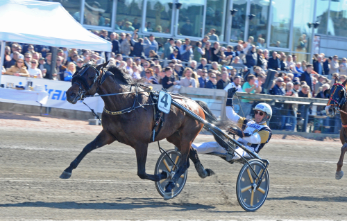 V75-tips: Spik i Åby Stora