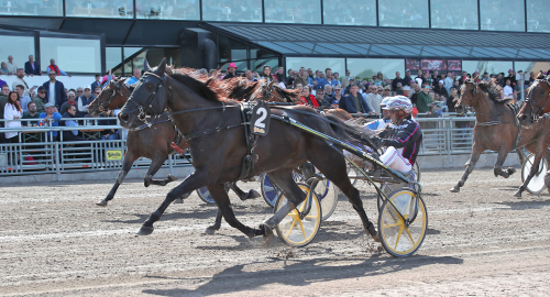 Kit Crown en diamant från spets