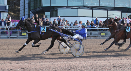 Milan Boko värd att vänta på