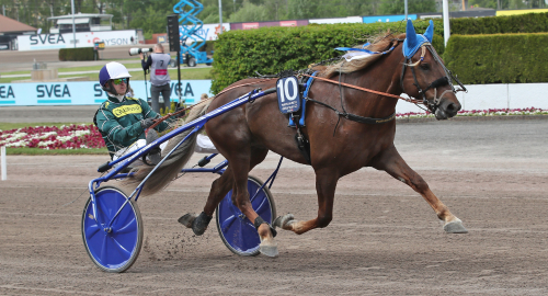 ”Ingen spik i kistan än”