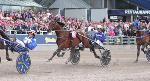 Hail Mary mot San Moteur