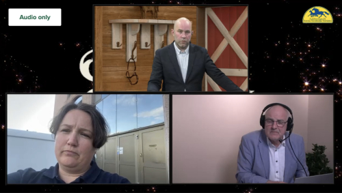 Elitauktionen ställs in