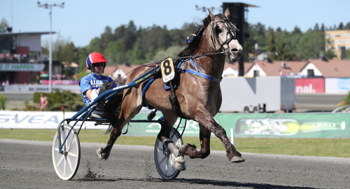 Startlistor: Här är Elitloppsfredagen
