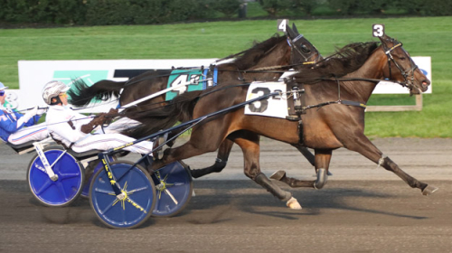 Dubbelseger för Melander