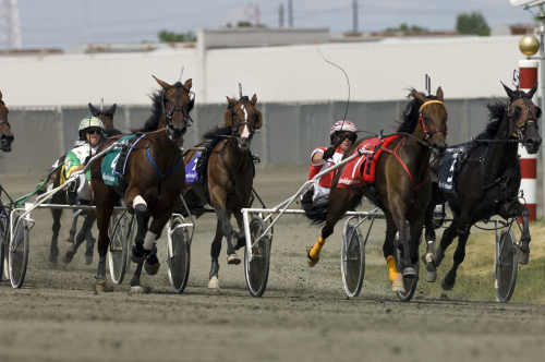 Hambo Oaks-etta död