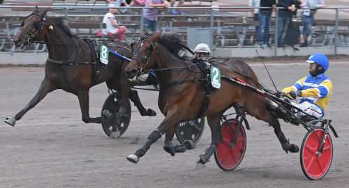 Stosprintern: Spets melodin
