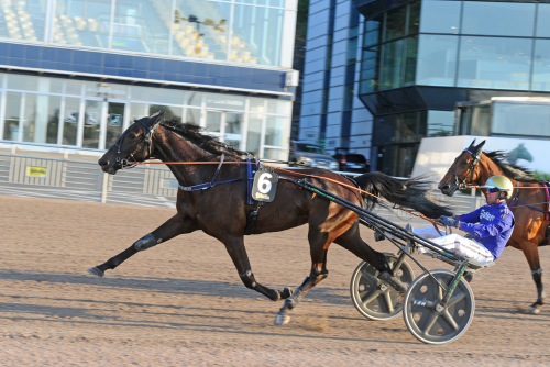 Oaks-vinnare storasyster