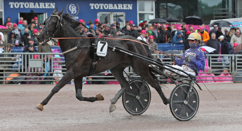 V75-tips: Vi litar på damerna