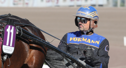 V75-tips: Spetsspikar lösningen!