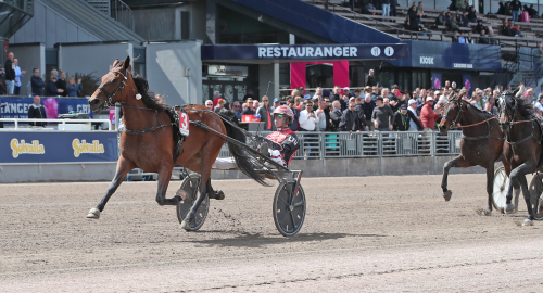 Gocciadoro: ”Älskar svenska banor”