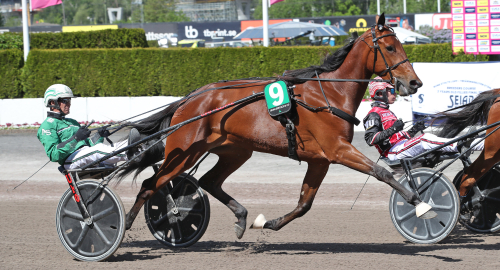 V75-tips: Högklassig finalomgång