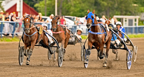 Etonnants maktdemonstration
